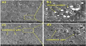 گرید 304: طلای استاندارد و انتخاب بی‌خطر