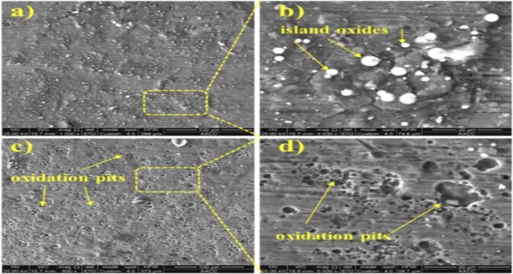 بررسی پایداری رنگ و مقاومت به خوردگی اتمسفری در ورق‌های سری 304، 201 و 430